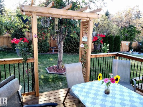 51 Glenmore Crescent, St. Albert, AB - Outdoor With Deck Patio Veranda