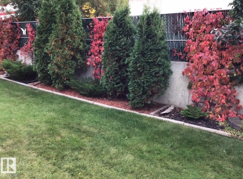 51 Glenmore Crescent, St. Albert, AB - Outdoor