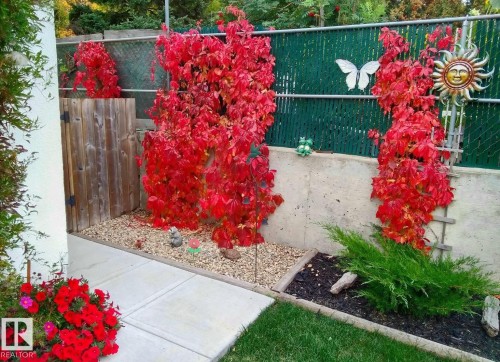 51 Glenmore Crescent, St. Albert, AB - Outdoor