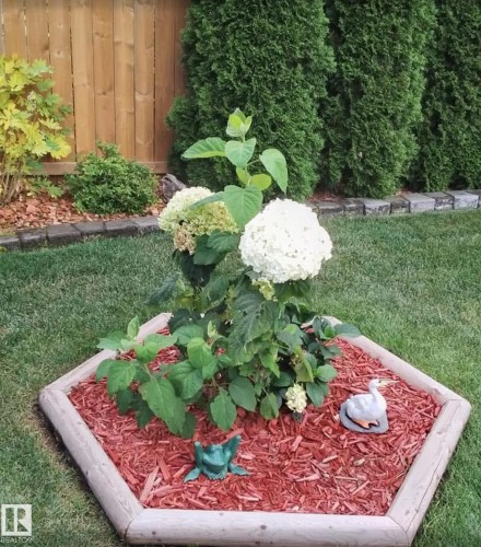 51 Glenmore Crescent, St. Albert, AB - Outdoor