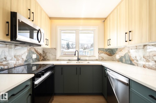 16131 109A Avenue, Edmonton, AB - Indoor Photo Showing Kitchen With Double Sink