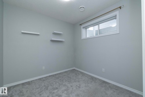 This room features light grey walls and grey carpet flooring - 20650 94A Avenue, Edmonton, AB - Indoor Photo Showing Other Room