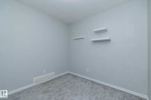 This room features light gray walls, a textured ceiling, and gray carpet - 20650 94A Avenue, Edmonton, AB - Indoor Photo Showing Other Room