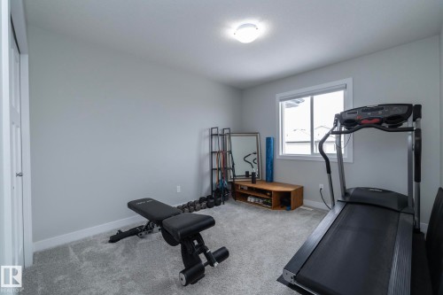 This room features light grey walls, light grey carpet, and a window providing natural light - 20650 94A Avenue, Edmonton, AB - Indoor Photo Showing Gym Room