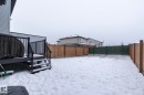 The property features a fenced yard with both natural wood and green painted fencing - 20650 94A Avenue, Edmonton, AB  - Outdoor 
