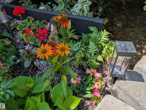 8427 152B Avenue, Edmonton, AB - Outdoor