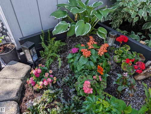 8427 152B Avenue, Edmonton, AB - Outdoor