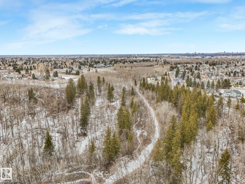 The property offers a vast expanse of natural landscape, featuring extensive woodlands and a winding path - 4105 41 Avenue, Edmonton, AB - Outdoor With View