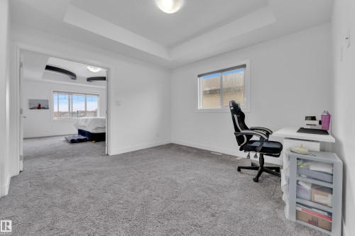 This room features light grey carpet, white walls, and a tray ceiling - 2630 16A Ave Nw, Edmonton, AB - Indoor Photo Showing Office