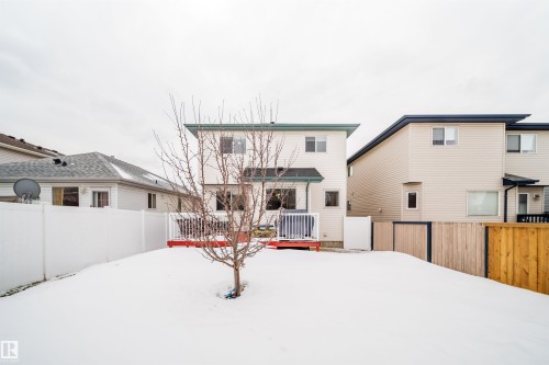 The property features a private backyard with a white fence on one side and a wooden fence on the other - 8932 175 Avenue, Edmonton, AB - Outdoor With Exterior