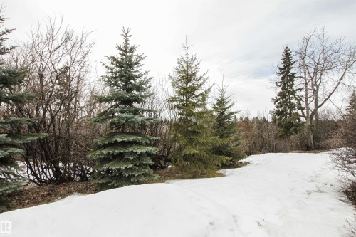 9539 88 Avenue, Edmonton, AB - Outdoor