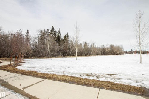 9539 88 Avenue, Edmonton, AB - Outdoor