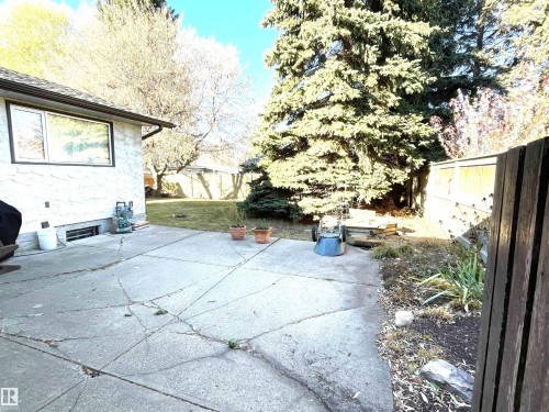 The property features a concrete patio area, a lawn, and mature trees providing natural landscaping - 44 Arlington Drive, St. Albert, AB - Outdoor