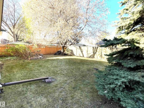 The property features an extensive yard with a lawn, mature trees, and a wooden fence - 44 Arlington Drive, St. Albert, AB - Outdoor