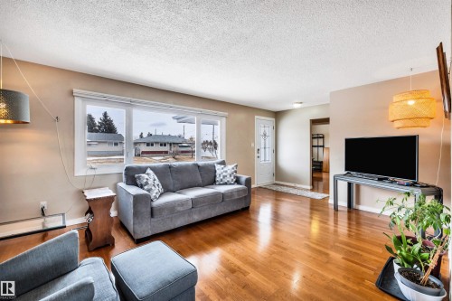 13012 79 Street, Edmonton, AB - Indoor Photo Showing Living Room