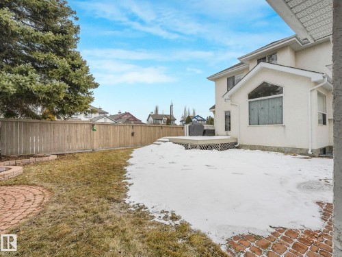 The property features a private backyard with a wooden fence and a large evergreen tree - 11704 11 Avenue, Edmonton, AB - Outdoor