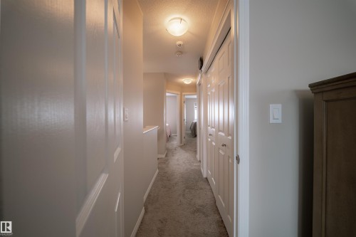 The property features a hallway with carpeted flooring and white doors - 2132 52 St, Edmonton, AB - Indoor Photo Showing Other Room