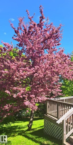 4 Placer Close, St. Albert, AB - Outdoor