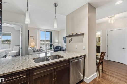212 11080 Ellerslie Road, Edmonton, AB - Indoor Photo Showing Kitchen With Double Sink