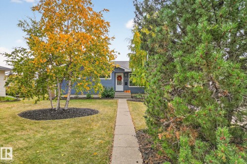 The property features a well-maintained front yard with a lush lawn, mature trees, and a paved walkway leading to the front door - 15701 92A Avenue, Edmonton, AB - Outdoor