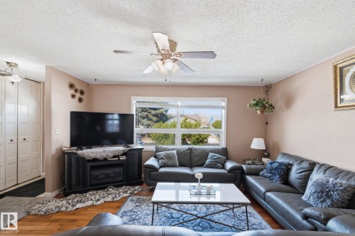 10617 167A Avenue, Edmonton, AB - Indoor Photo Showing Living Room