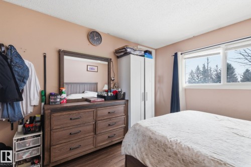 10617 167A Avenue, Edmonton, AB - Indoor Photo Showing Bedroom