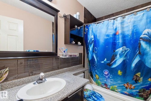 10617 167A Avenue, Edmonton, AB - Indoor Photo Showing Bathroom