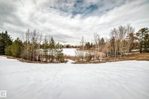Expansive grounds featuring a snow-covered lawn, mature trees, and a pond - 3107 43 Avenue, Edmonton, AB - Outdoor With View