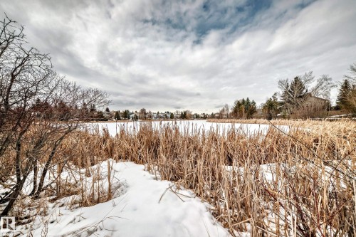 The property is situated within a natural landscape featuring a frozen body of water bordered by tall, dry grasses - 3107 43 Avenue, Edmonton, AB - Outdoor With View