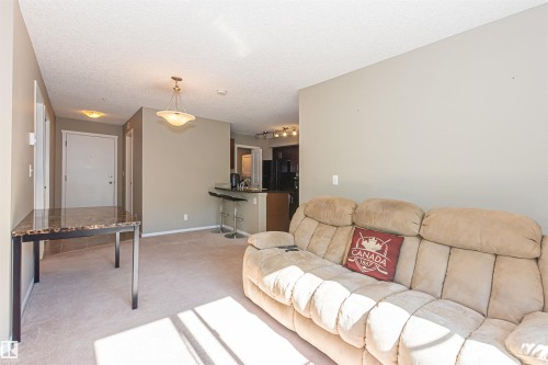 215 5816 Mullen Place, Edmonton, AB - Indoor Photo Showing Living Room
