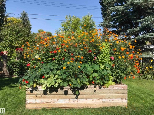 4414 46 Avenue, Leduc, AB - Outdoor