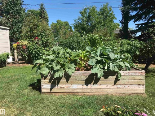 4414 46 Avenue, Leduc, AB - Outdoor