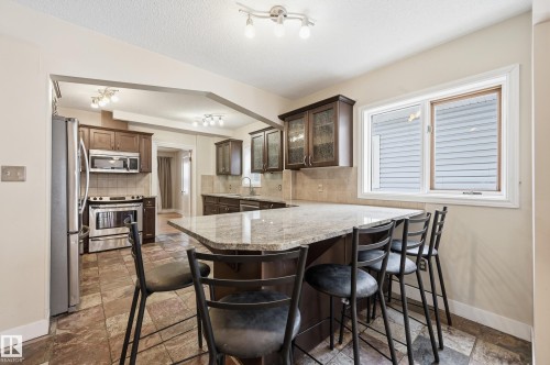 11019 126 Street, Edmonton, AB - Indoor Photo Showing Kitchen With Upgraded Kitchen