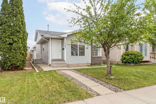 The property features a well-maintained lawn with mature trees and a paved walkway leading to the front entrance - 16223 55A Street, Edmonton, AB - Outdoor With Facade