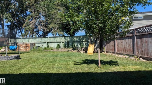 Expansive lawn with mature trees and a privacy fence - 4208 89 Street Nw, Edmonton, AB - Outdoor