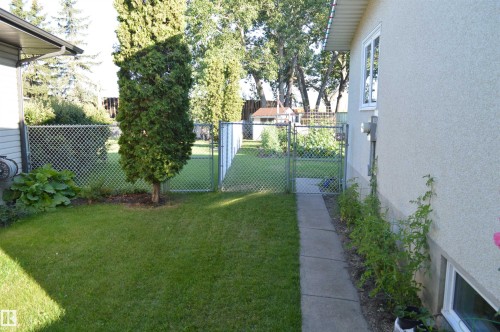 Well-maintained yard featuring a green lawn, mature trees, and a chain-link fence with a gate - 4208 89 Street Nw, Edmonton, AB - Outdoor