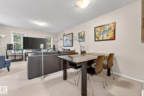 This open-concept living area features light-colored carpeting, white walls, and two windows providing natural light - 219 60 Street, Edmonton, AB - Indoor