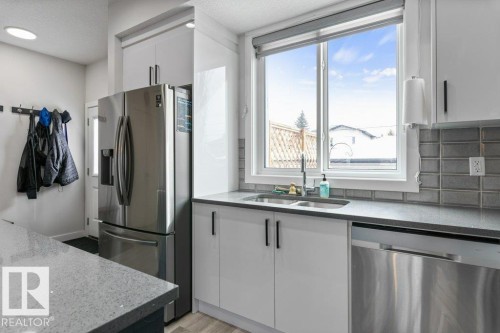 11029 150 Street, Edmonton, AB - Indoor Photo Showing Kitchen With Double Sink
