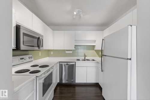 301 9138 83 Avenue, Edmonton, AB - Indoor Photo Showing Kitchen With Double Sink