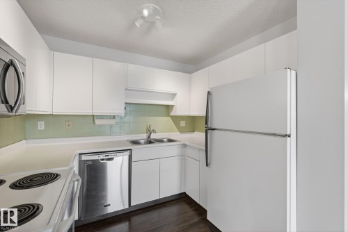 301 9138 83 Avenue, Edmonton, AB - Indoor Photo Showing Kitchen With Double Sink