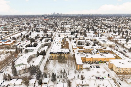 Aerial view showcasing the widespread residential area with snow-covered rooftops, surrounded by numerous mature trees - 318 9820 165 Street, Edmonton, AB - Outdoor With View