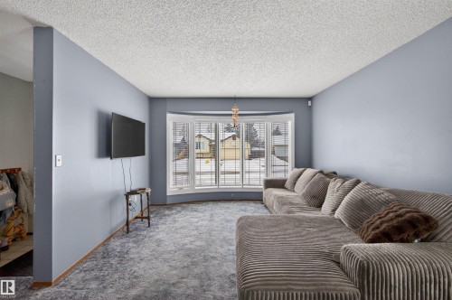 19 Howson Crescent, Edmonton, AB - Indoor Photo Showing Living Room