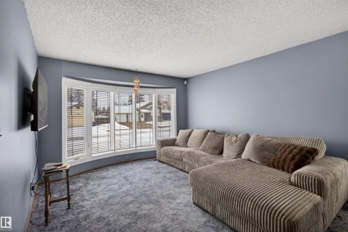 19 Howson Crescent, Edmonton, AB - Indoor Photo Showing Living Room