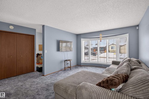19 Howson Crescent, Edmonton, AB - Indoor Photo Showing Living Room