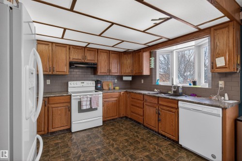 19 Howson Crescent, Edmonton, AB - Indoor Photo Showing Kitchen With Double Sink
