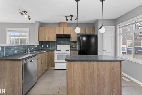 49 9151 Shaw Way, Edmonton, AB - Indoor Photo Showing Kitchen With Double Sink