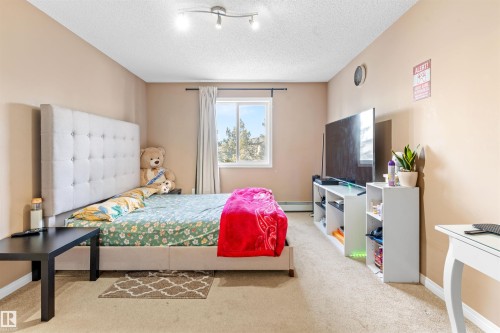 The room features a window providing natural light, a neutral-toned carpet, and a light-colored ceiling - 224 3425 19 Street Nw, Edmonton, AB - Indoor Photo Showing Bedroom