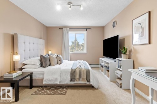A spacious bedroom featuring neutral-toned carpet, a light-colored accent wall, and a window providing natural light - 224 3425 19 Street Nw, Edmonton, AB - Indoor Photo Showing Bedroom