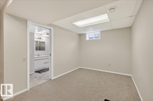 8711 22 Avenue, Edmonton, AB - Indoor Photo Showing Basement