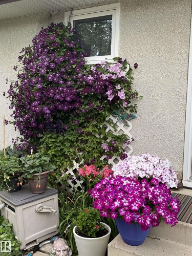 8711 22 Avenue, Edmonton, AB - Outdoor